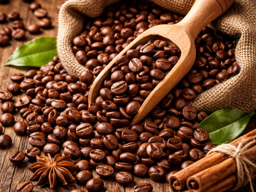 Как выбрать кофе в зернах: арабика или робуста?